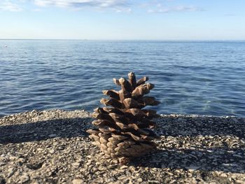 Pebbles on beach against sky