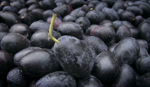 Full frame shot of blueberries