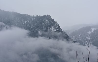 Mountain covered with trees and snow, surrounded with heavy fog. 