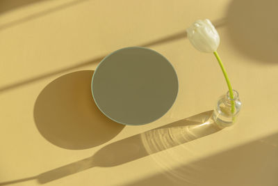 White tulip near a round mirror on yellow background with shadows.