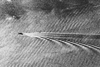 High angle view of feather on table