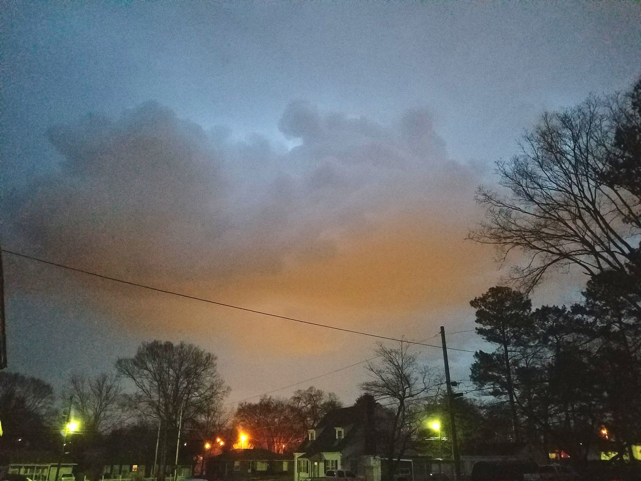 LOW ANGLE VIEW OF TREES AGAINST CLOUDY SKY