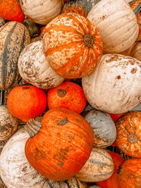 Full frame shot of pumpkins