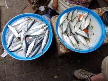 High angle view of fish for sale at market