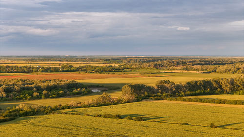 landscape
