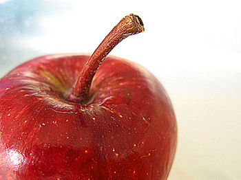 Close-up of apple against white background