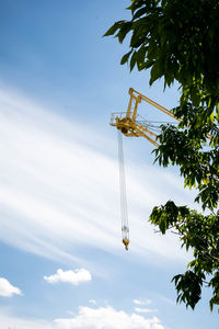 Low angle view of palm tree against sky