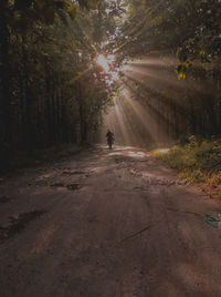 Man walking on road amidst trees in forest