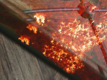 Close-up of wooden door