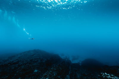 Person swimming in sea