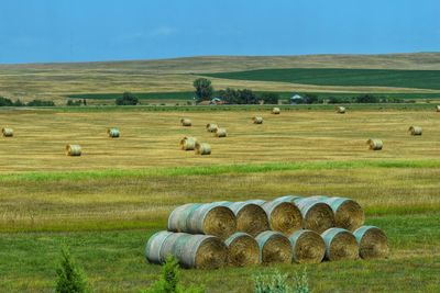 Hay bales on field against sky