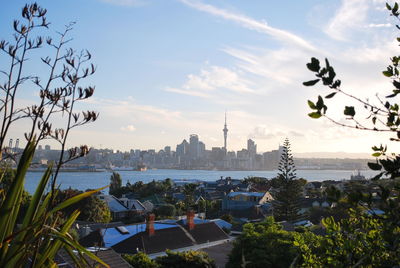 Cityscape of auckland from in beautiful evening