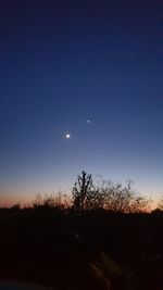 Silhouette trees on field against sky at night