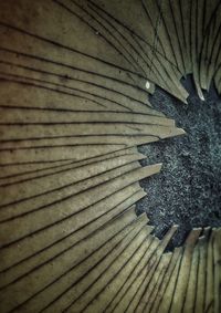 Close-up of wooden door