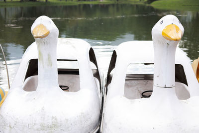 Close-up of swans on calm lake