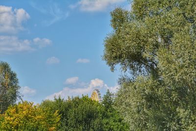 Low angle view of trees against sky