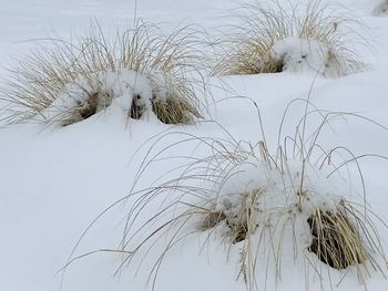 Snow on field against sky