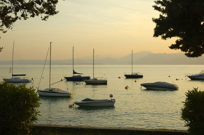 Sailboats moored in sea at sunset