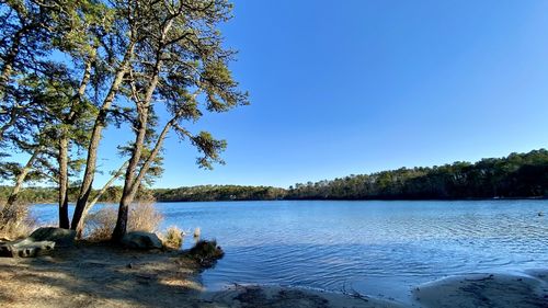 Scenic view of lake against clear blue sky