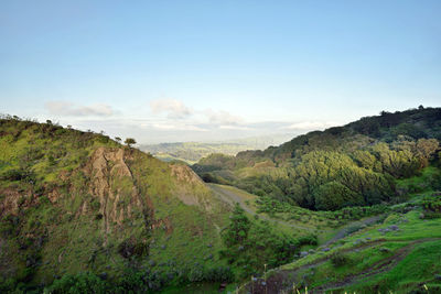 High angle shot of rocky lush landscape