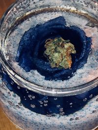 Close-up high angle view of leaf