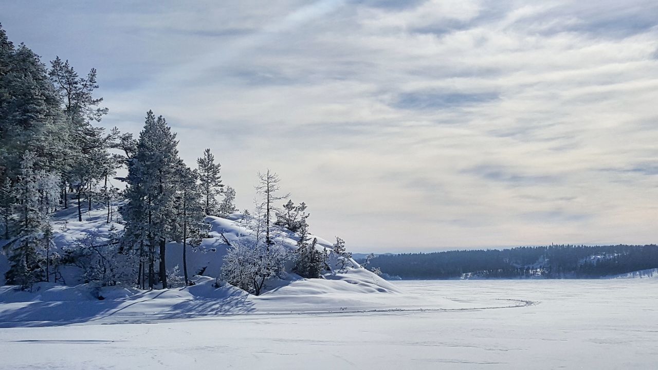 snow, cold temperature, winter, sky, cloud - sky, nature, beauty in nature, tranquility, no people, tranquil scene, tree, outdoors, day, scenics, landscape