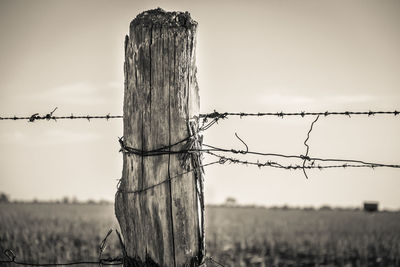 Close-up of barbed wire on field against sky