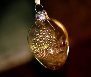 Close-up of illuminated christmas lights