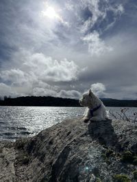 cloud