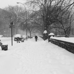 Person walking on snowy road by bare trees during snowfall