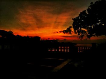 Silhouette of trees against dramatic sky