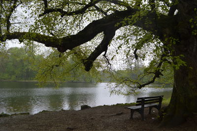 Scenic view of lake by trees against sky