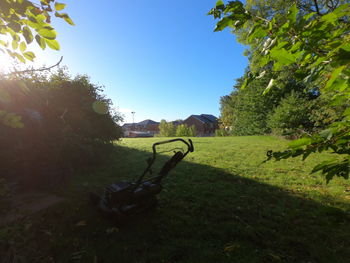 Trees on field against clear sky