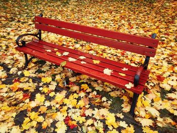 High angle view of bench in park during autumn