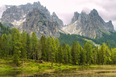 Scenic view of mountains