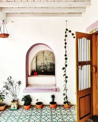 Potted plants outside building