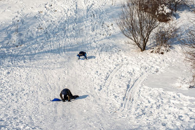 High angle view of children pkaying on the snow