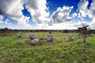 Scenic view of field against sky