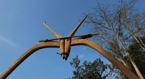 Low angle view of bird flying against blue sky