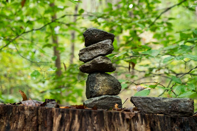 Close-up of stone stack on rock in forest