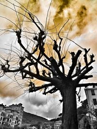 Low angle view of bare tree against cloudy sky