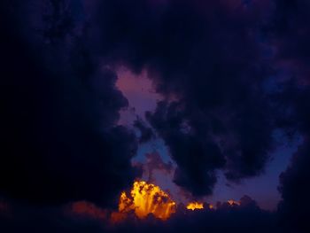 Low angle view of silhouette trees against sky at night