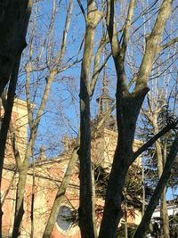 Low angle view of bare trees against sky