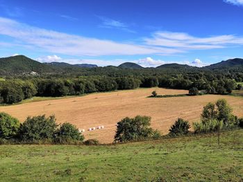 Scenic view of field against sky