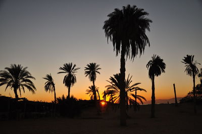 Silhouette palm trees against sky during sunset