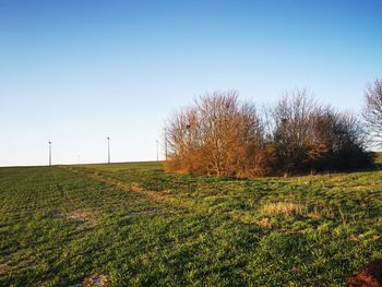 Scenic view of field against clear sky