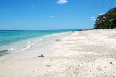 Scenic view of beach against blue sky