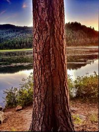 Scenic view of calm lake against sky