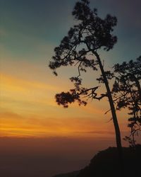 Silhouette tree against sky during sunset