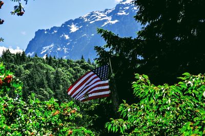 Scenic view of flag on mountain against sky